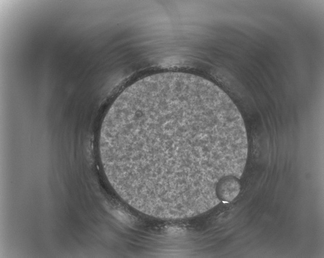 X0000066930592200604071848