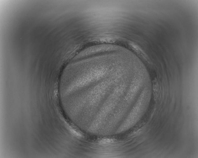 X0000066930593200604071848