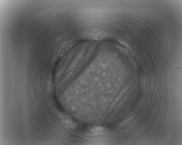 X0000066930594200604071848