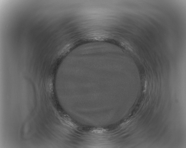 X0000066930595200604071848