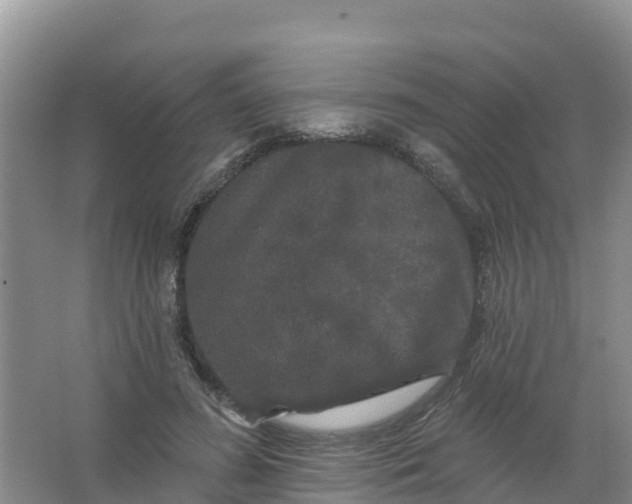 X0000066930596200604071848