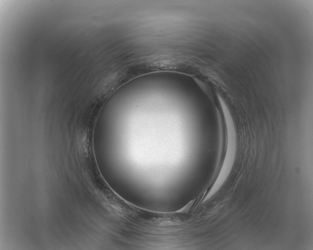 X0000066930597200604071848