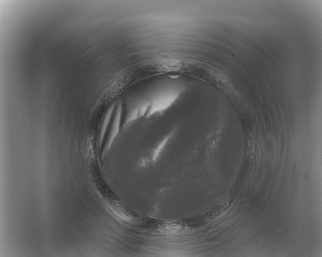 X0000066930598200604071848