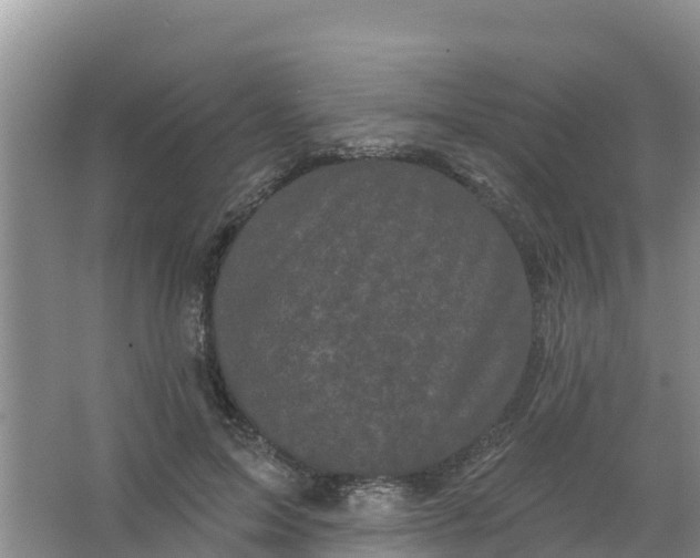 X0000066930599200604071848