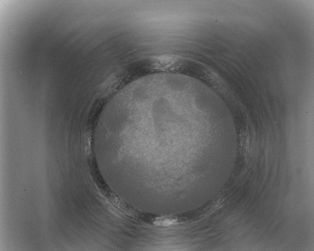 X0000066930602200604071848