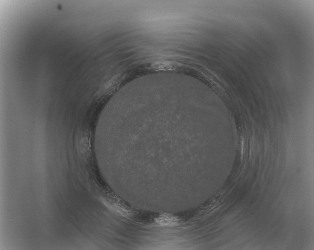 X0000066930603200604071848