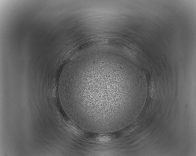 X0000066930604200604071848