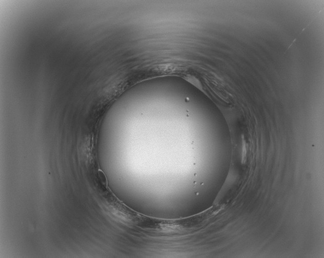 X0000066930605200604071848