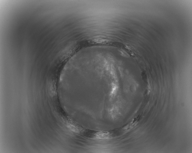 X0000066930606200604071848