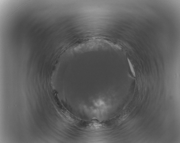 X0000066930607200604071848