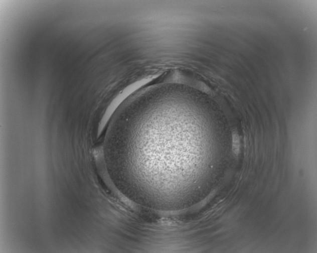 X0000066930608200604071848