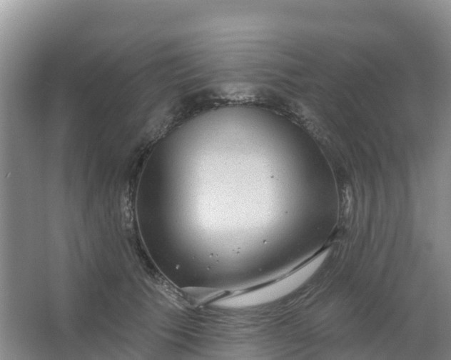 X0000066930609200604071848