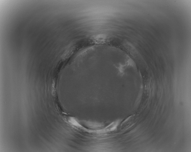 X0000066930610200604071848