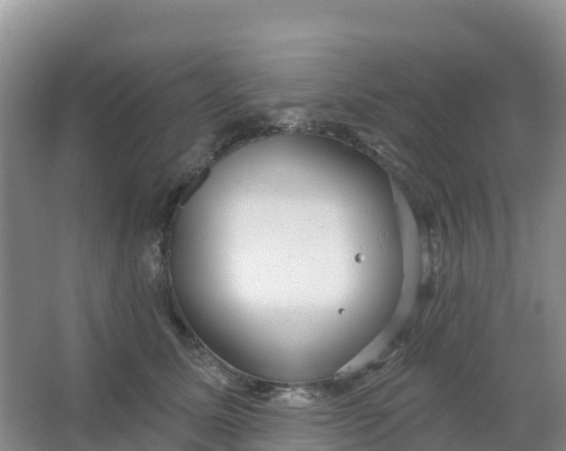 X0000066930611200604071848