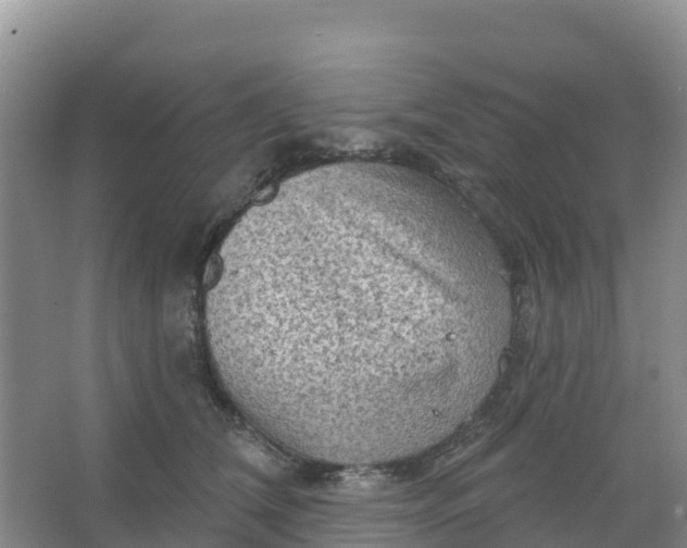 X0000066930612200604071848