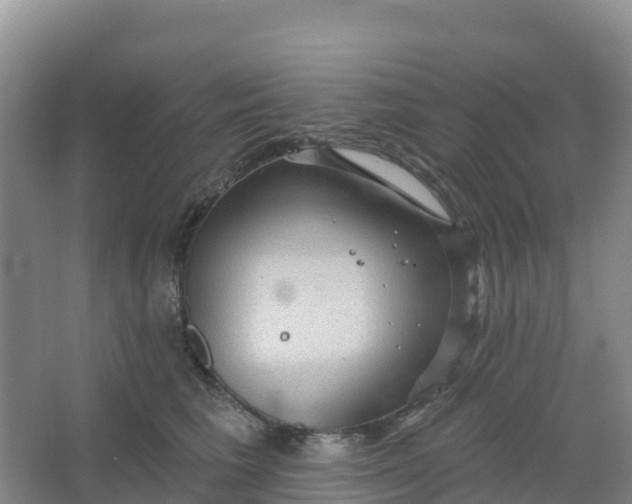 X0000066930613200604071848