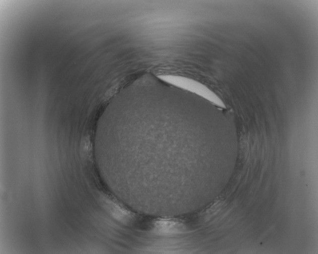 X0000066930614200604071848