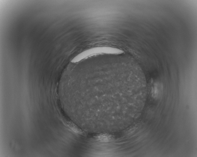 X0000066930615200604071848