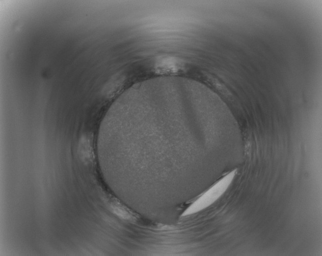 X0000066930616200604071848