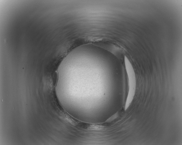 X0000066930617200604071848