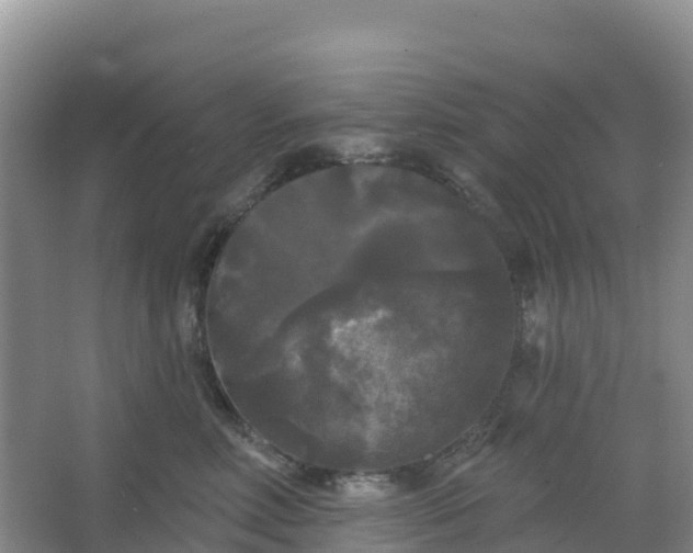 X0000066930618200604071848