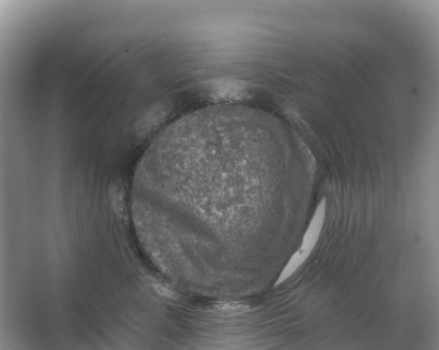 X0000066930619200604071848