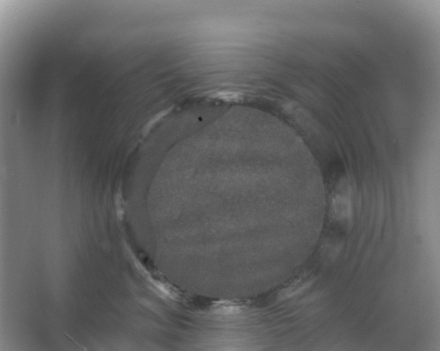 X0000066930620200604071848