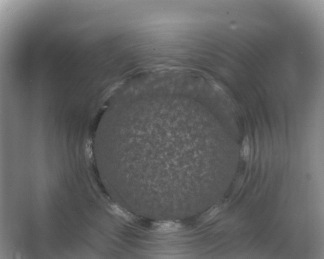 X0000066930621200604071848