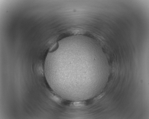 X0000066930622200604071848