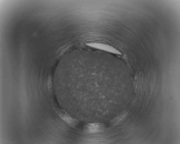 X0000066930623200604071848