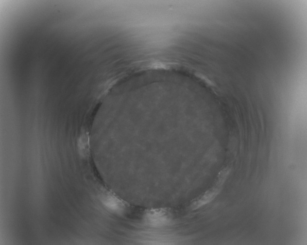 X0000066930624200604071848