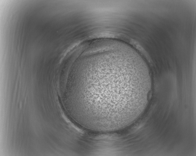 X0000066930625200604071847