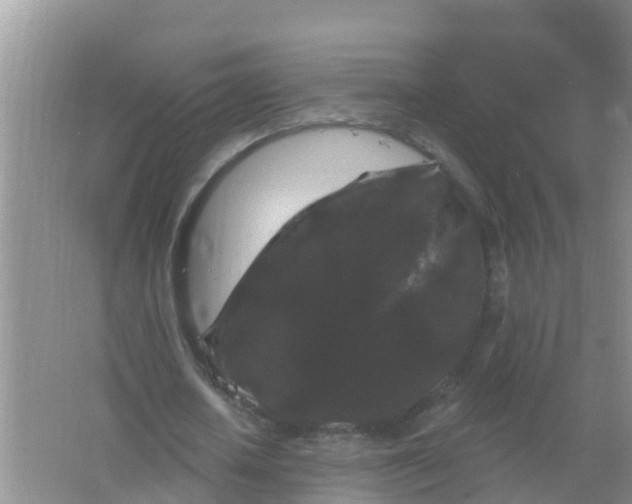 X0000066930626200604071847