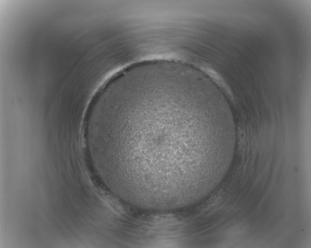 X0000066930628200604071847