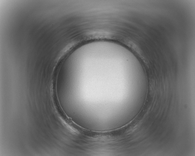 X0000066930629200604071847