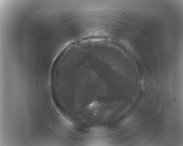 X0000066930630200604071847