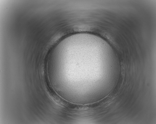 X0000066930631200604071847