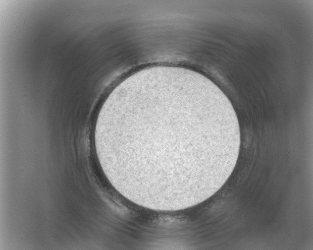 X0000066930632200604071847