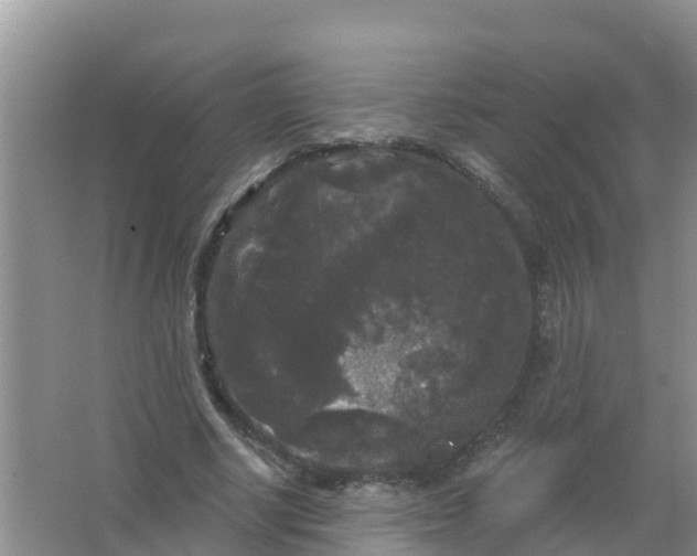 X0000066930634200604071847