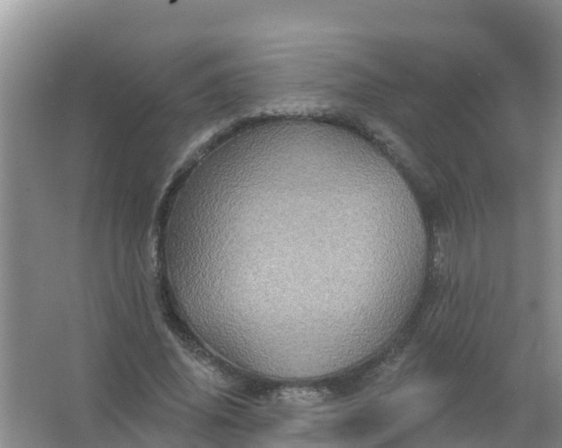 X0000066930636200604071847