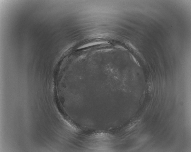 X0000066930637200604071847