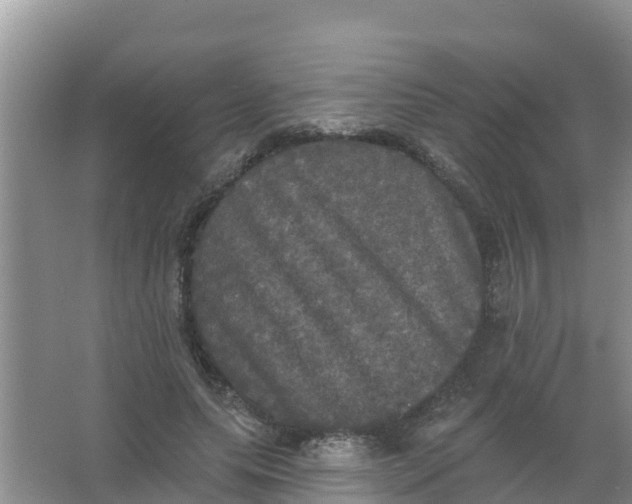 X0000066930639200604071847