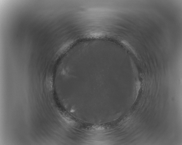 X0000066930640200604071847