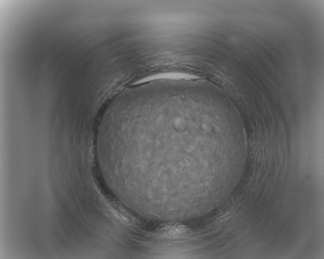 X0000066930642200604071847