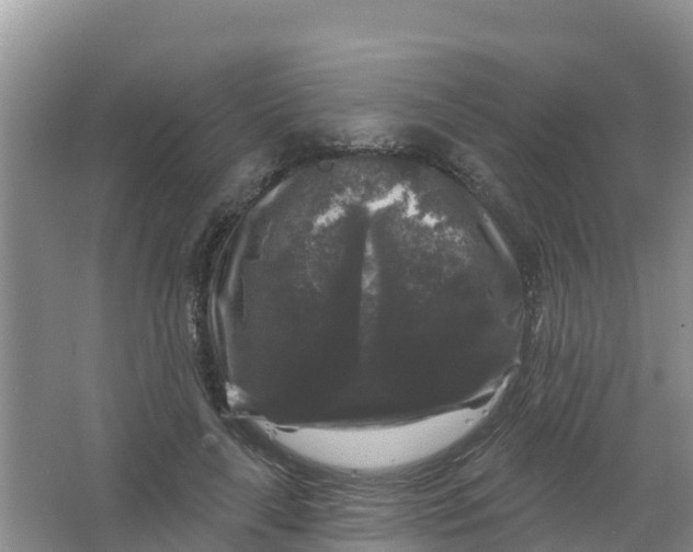 X0000066930643200604071847