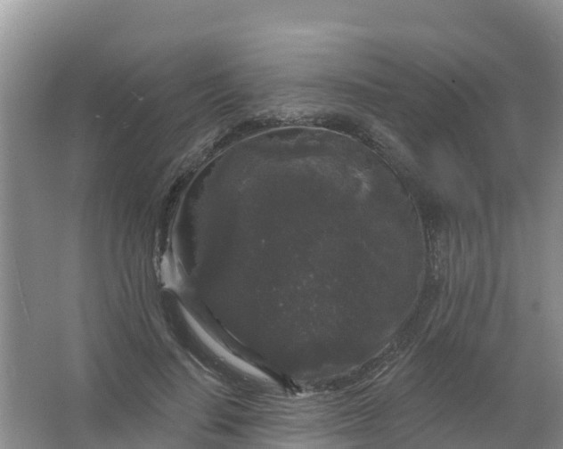 X0000066930644200604071847