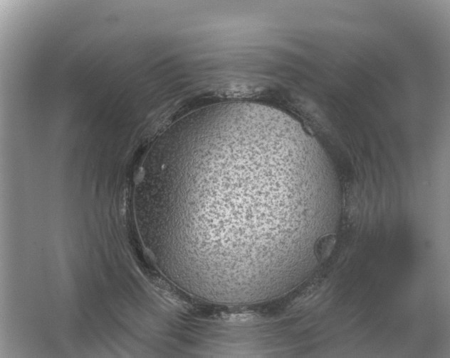 X0000066930645200604071847