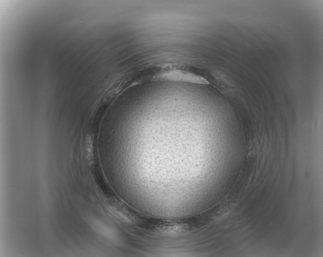 X0000066930646200604071847