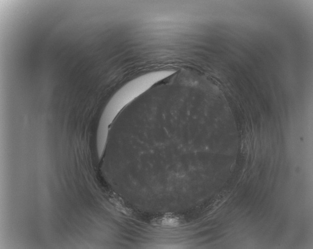 X0000066930647200604071847