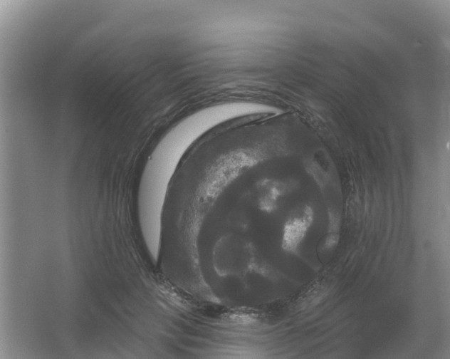 X0000066930649200604071847